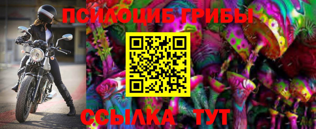 Мценск  Псилоцибиновые грибы Psilocybe  Вход с VPN 